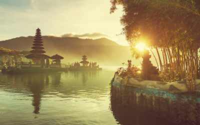 12 trips for the 12 months of 2019